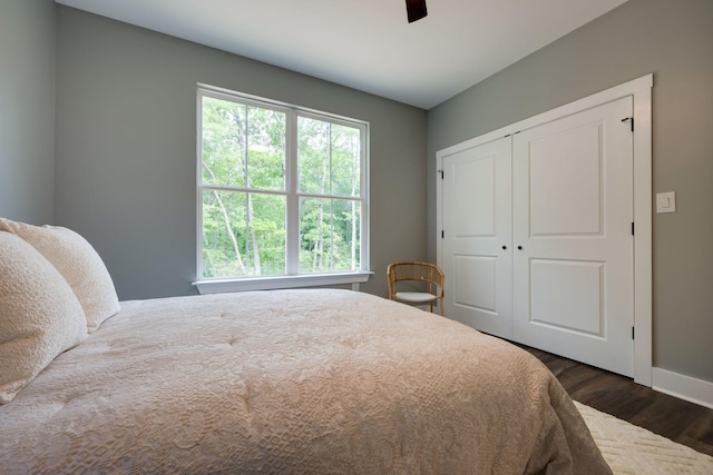 85 Truform Way, Dickson, TN 37055 - bedroom with dark wood-type flooring, multiple windows, baseboards, and a closet