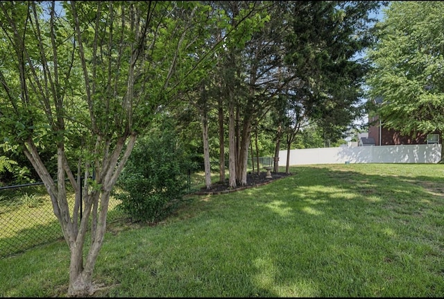 5122 Stonewood Dr, Smyrna, TN 37167 - view of yard