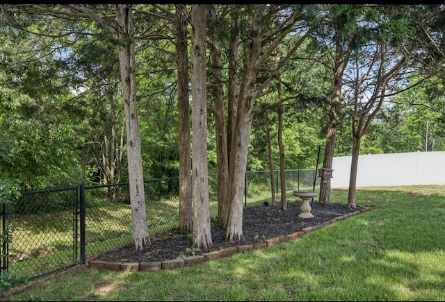 5122 Stonewood Dr, Smyrna, TN 37167 - view of yard featuring a gate