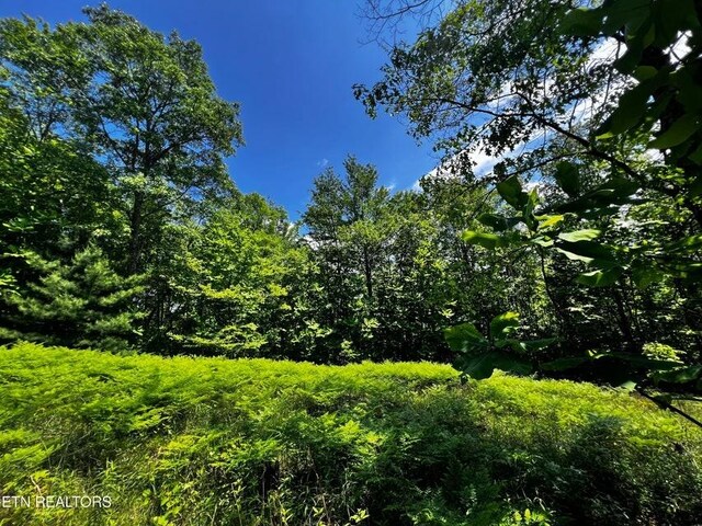 146 Fox Trl, Wartburg, TN 37887