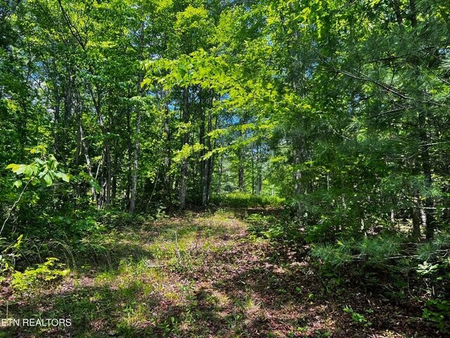 146 Fox Trl, Wartburg, TN 37887