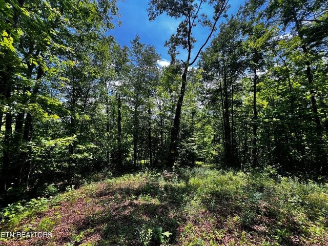 146 Fox Trl, Wartburg, TN 37887