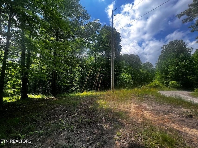146 Fox Trl, Wartburg, TN 37887