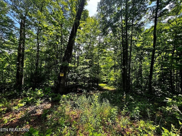 146 Fox Trl, Wartburg, TN 37887