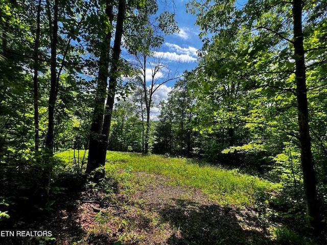 146 Fox Trl, Wartburg, TN 37887