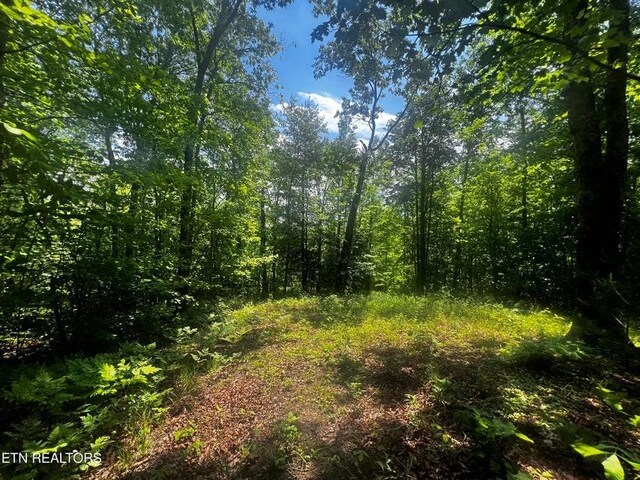 146 Fox Trl, Wartburg, TN 37887