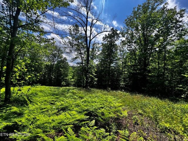 146 Fox Trl, Wartburg, TN 37887