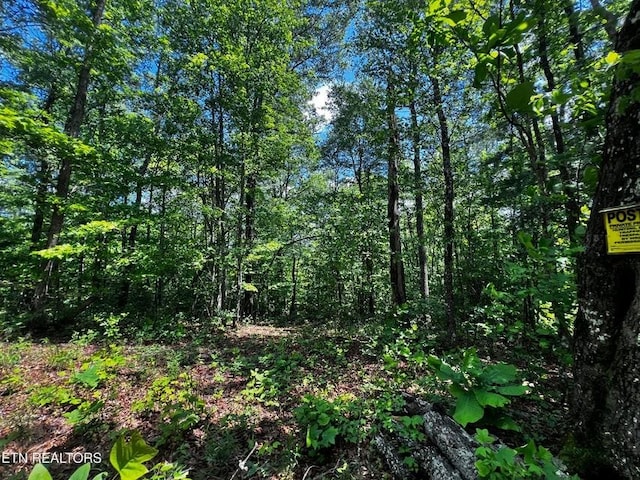 146 Fox Trl, Wartburg, TN 37887