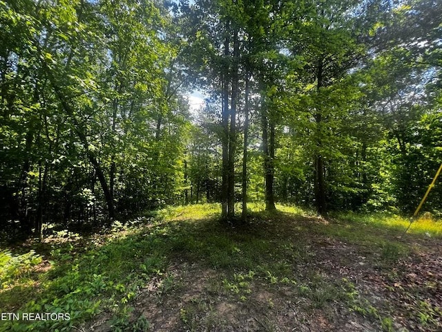 146 Fox Trl, Wartburg, TN 37887