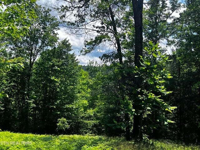 146 Fox Trl, Wartburg, TN 37887