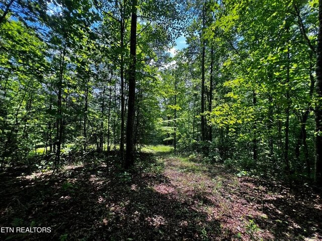 146 Fox Trl, Wartburg, TN 37887