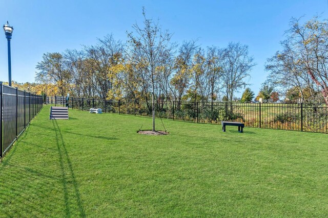 116 Beignet Aly, Hendersonville, TN 37075 - surrounding community with a dog friendly area