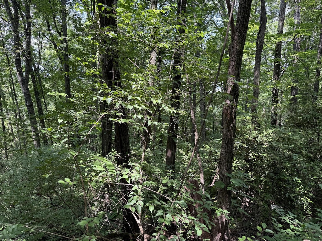 0 Wheeler Ave, Chattanooga, TN 37404