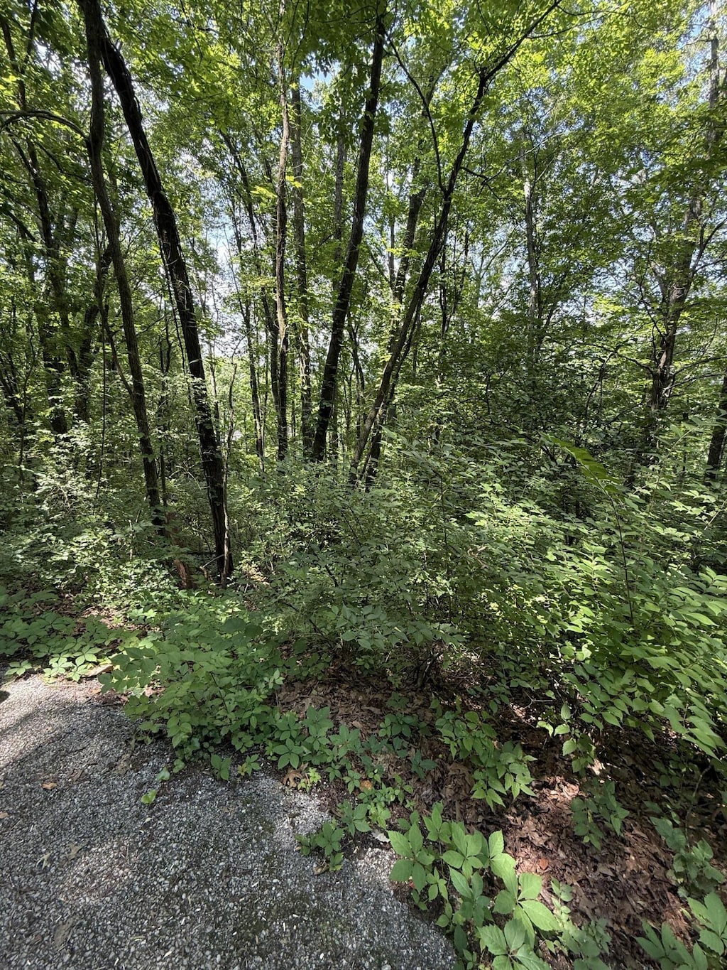 0 Wheeler Ave, Chattanooga, TN 37404