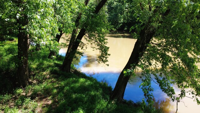 0 River Rd, Chapel Hill, TN 37034 - photo 9