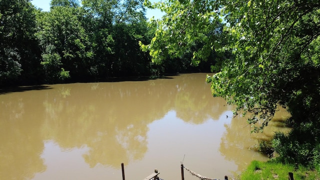 0 River Rd, Chapel Hill, TN 37034 - photo 8