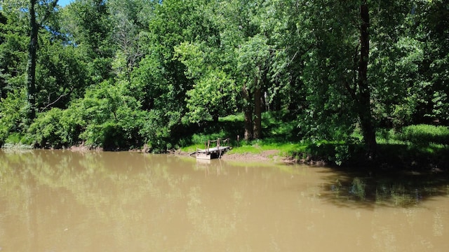0 River Rd, Chapel Hill, TN 37034 - photo 7