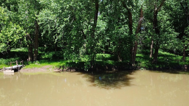 0 River Rd, Chapel Hill, TN 37034 - photo 3