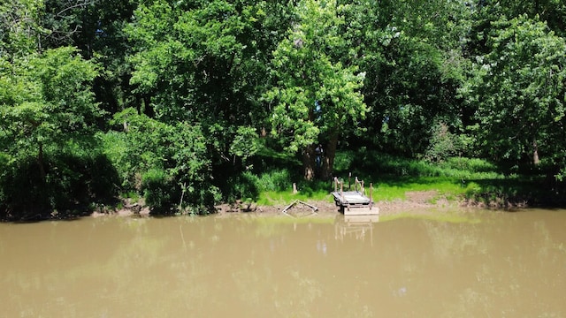 0 River Rd, Chapel Hill, TN 37034 - photo 2