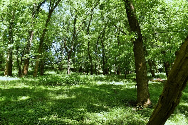 0 River Rd, Chapel Hill, TN 37034 - photo 11