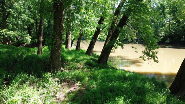 0 River Rd, Chapel Hill, TN 37034 - photo 10