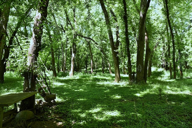 0 River Rd, Chapel Hill, TN 37034 - photo 13