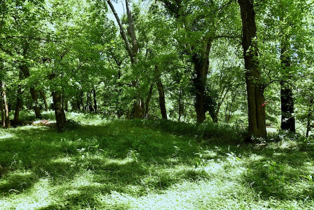 0 River Rd, Chapel Hill, TN 37034 - photo 14