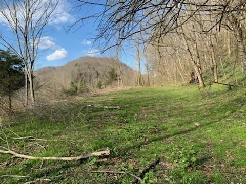 662 Wilmore Hollow Rd, Pleasant Shade, TN 37145 - photo 18