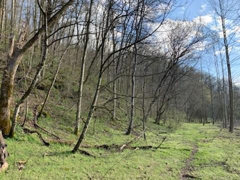 662 Wilmore Hollow Rd, Pleasant Shade, TN 37145 - photo 8