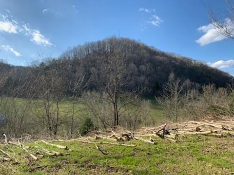 662 Wilmore Hollow Rd, Pleasant Shade, TN 37145 - photo 17