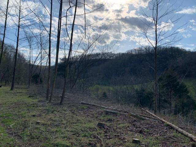 662 Wilmore Hollow Rd, Pleasant Shade, TN 37145 - photo 14