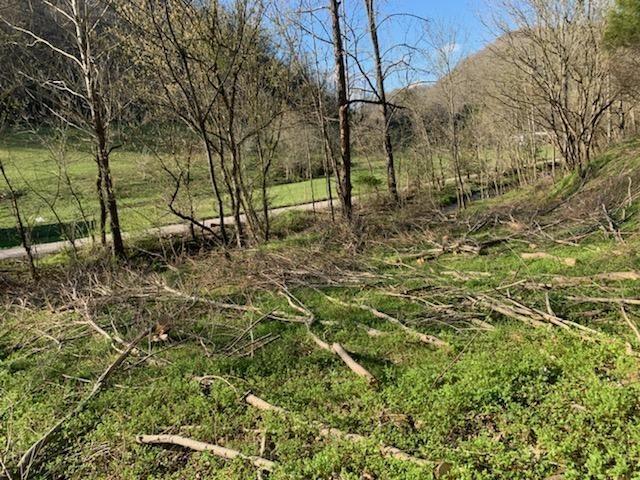 662 Wilmore Hollow Rd, Pleasant Shade, TN 37145 - photo 4