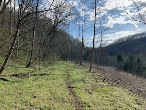 662 Wilmore Hollow Rd, Pleasant Shade, TN 37145 - photo 13
