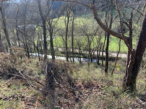 662 Wilmore Hollow Rd, Pleasant Shade, TN 37145 - photo 5