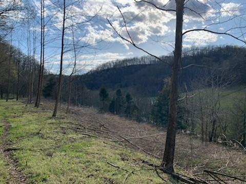 662 Wilmore Hollow Rd, Pleasant Shade, TN 37145 - photo 10