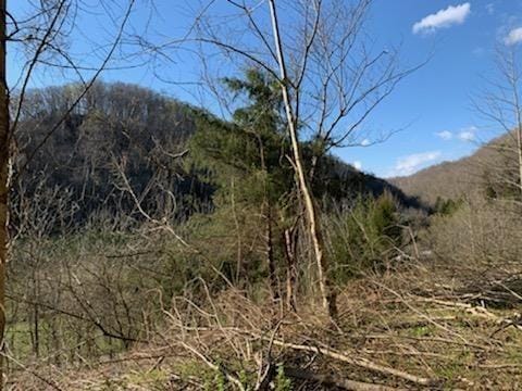 662 Wilmore Hollow Rd, Pleasant Shade, TN 37145 - photo 9