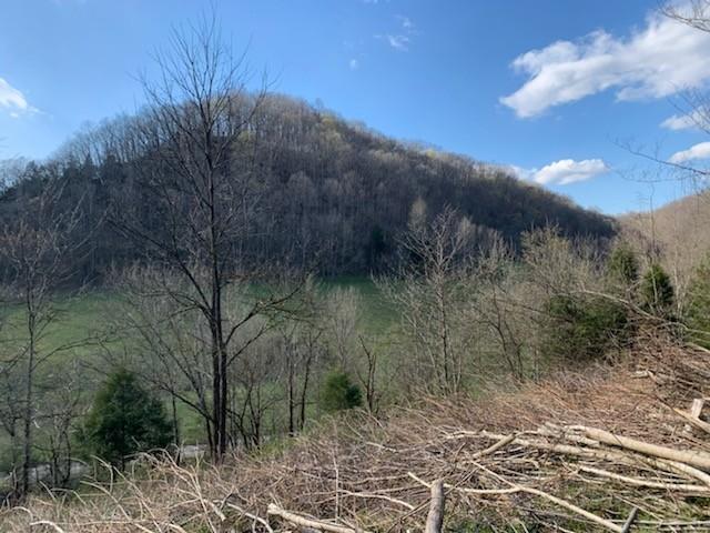 662 Wilmore Hollow Rd, Pleasant Shade, TN 37145 - photo 16