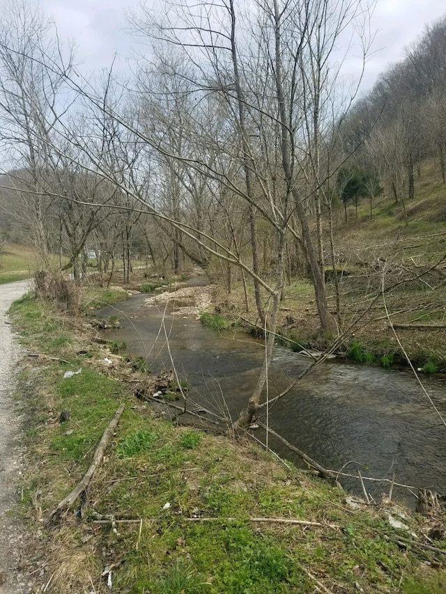 662 Wilmore Hollow Rd, Pleasant Shade, TN 37145 - photo 20