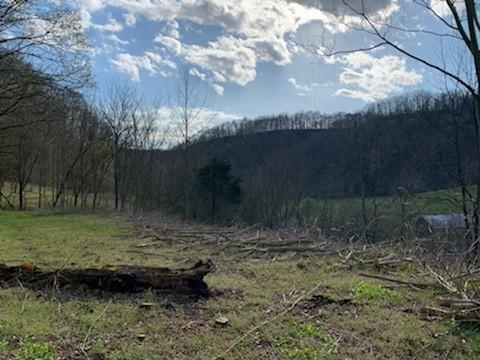 662 Wilmore Hollow Rd, Pleasant Shade, TN 37145 - photo 7