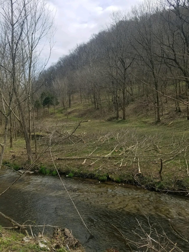 662 Wilmore Hollow Rd, Pleasant Shade, TN 37145 - photo 19