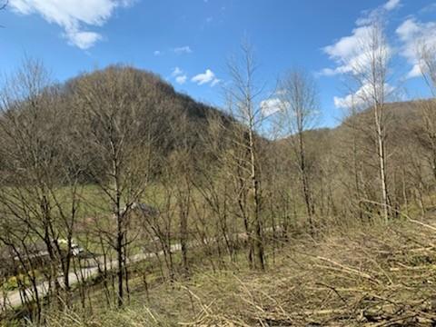 662 Wilmore Hollow Rd, Pleasant Shade, TN 37145 - photo 6