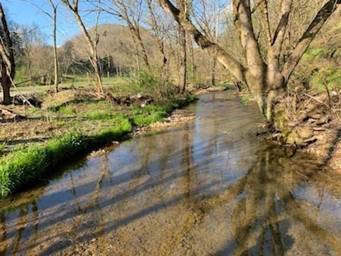 662 Wilmore Hollow Rd, Pleasant Shade, TN 37145 - photo 1