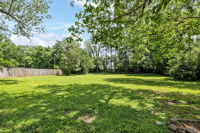 1051 W Main St, Franklin, TN 37064 - view of yard