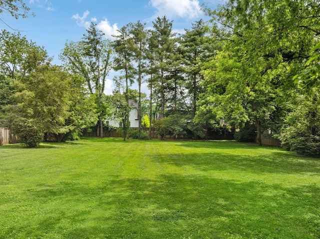 1051 W Main St, Franklin, TN 37064 - view of yard
