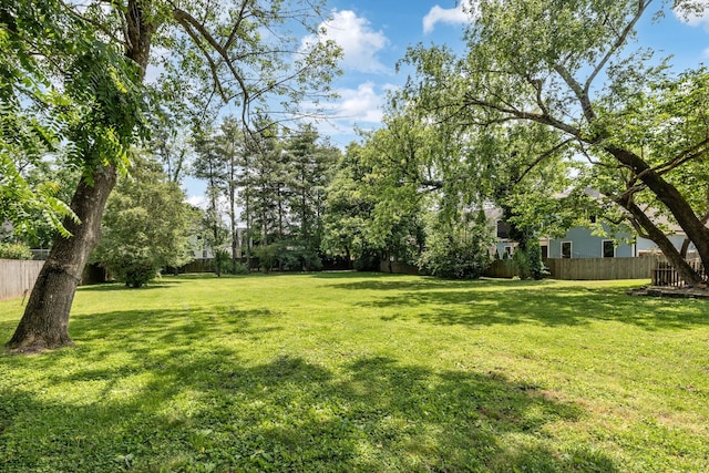 1051 W Main St, Franklin, TN 37064 - view of yard