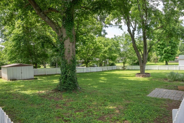 4011 Sheddan Dr, Columbia, TN 38401 - view of yard