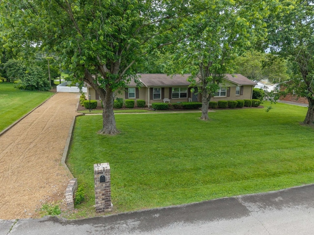 4011 Sheddan Dr, Columbia, TN 38401 - ranch-style home with a front lawn and driveway