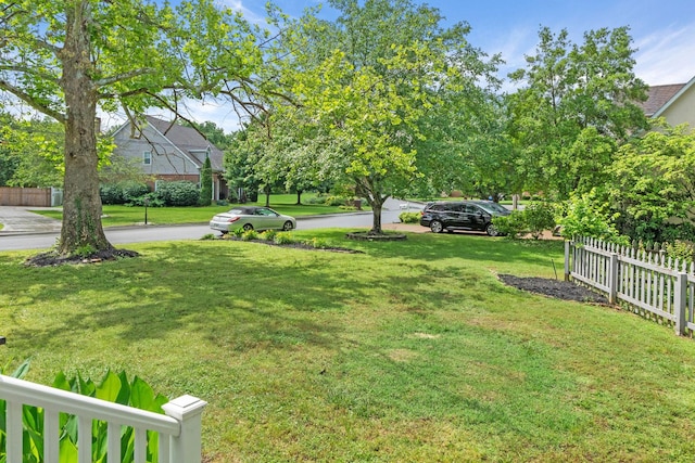 125 Wembly Ct, Franklin, TN 37067 - view of yard