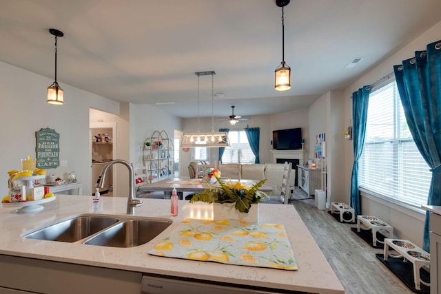 308 Whisper Wood Way, Lebanon, TN 37087 - kitchen with a sink, light wood-style flooring, light stone countertops, and plenty of natural light