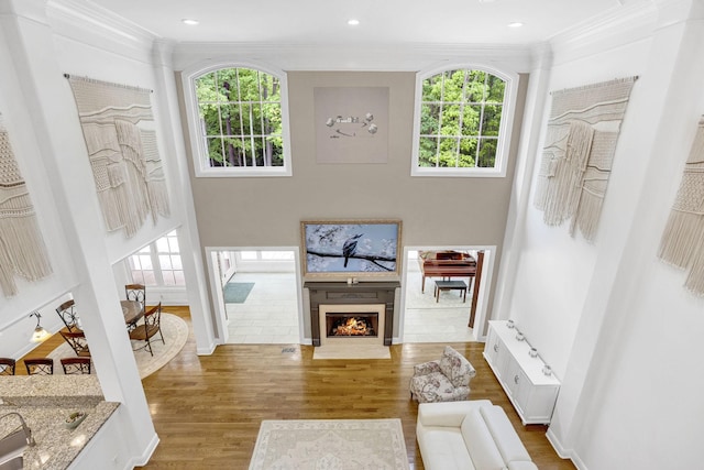 6948 Whispering Oaks Dr, Springfield, TN 37172 - living room featuring healthy amount of natural light, crown molding, wood finished floors, a lit fireplace, and baseboards